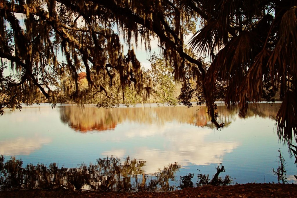 Lake framed by moss-hung branches at sunset