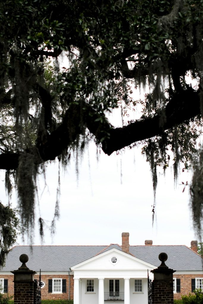 Brick home with white columns framed by moss-draped live oak branches