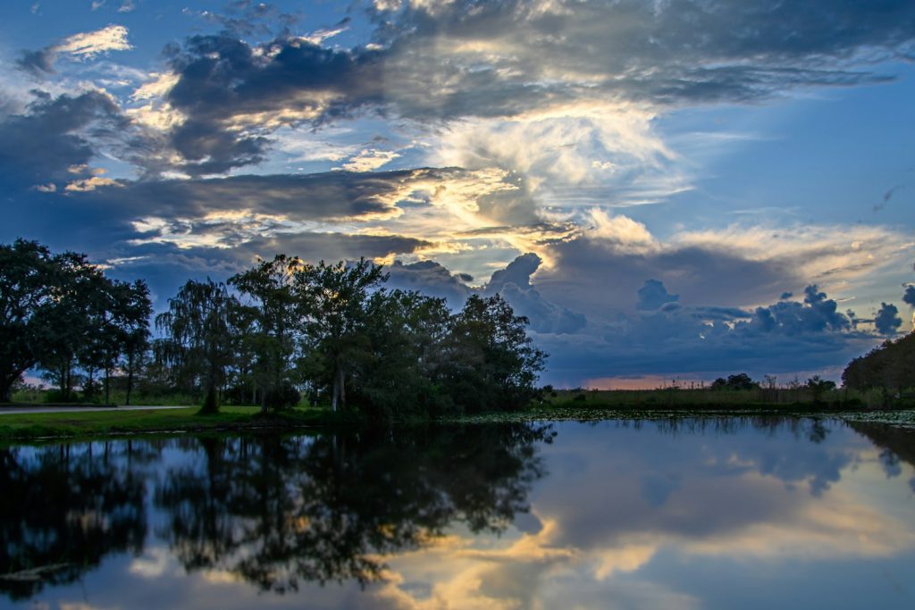Calm pond reflecting oaks and a dramatic sky