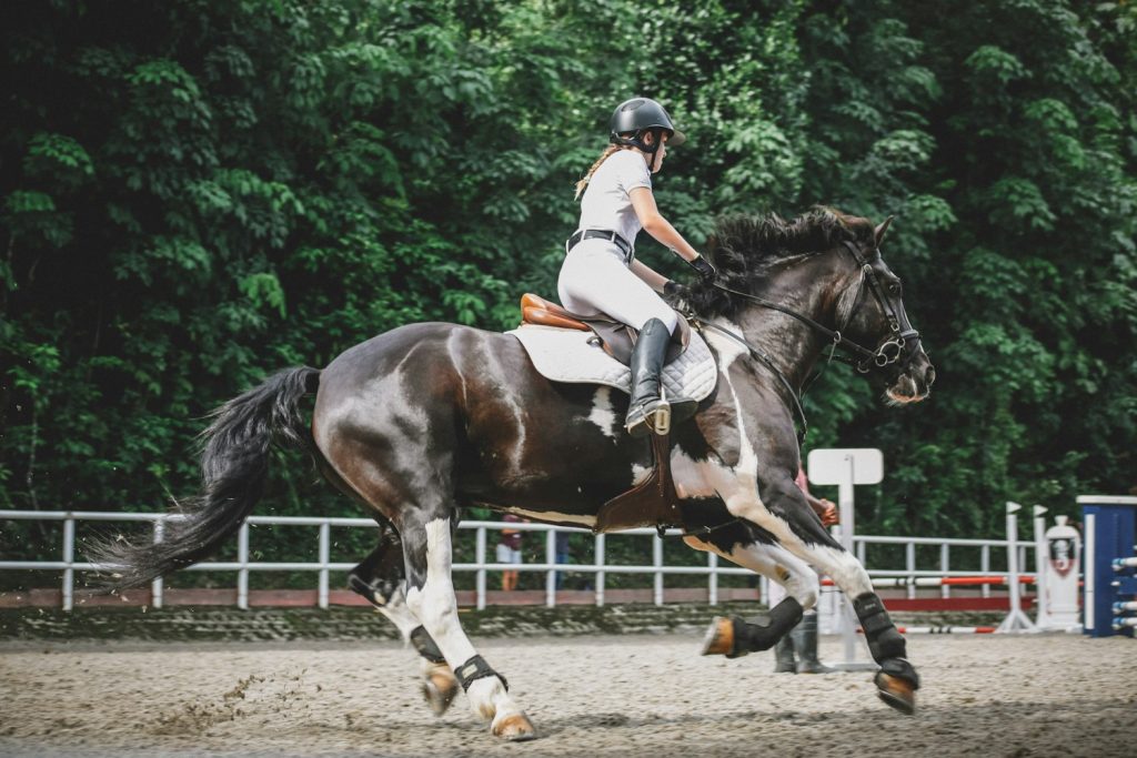 Rider cantering a groomed horse in an arena with white rail fencing