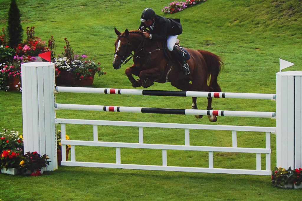 Horse and rider clearing a white show-jumping fence on a grass field
