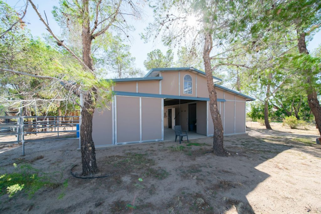 Modern horse barn with sandy paddock among tall trees