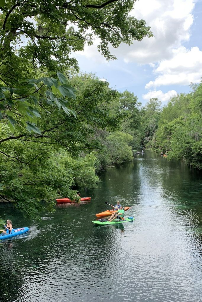 Kayakers paddling a spring-fed river under green trees