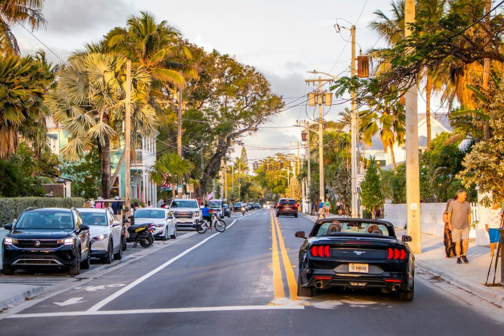 Palm-lined town street with shops, bike lane and parked cars